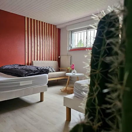 Confort Chez Lolita Et Wilfried Lägenhet